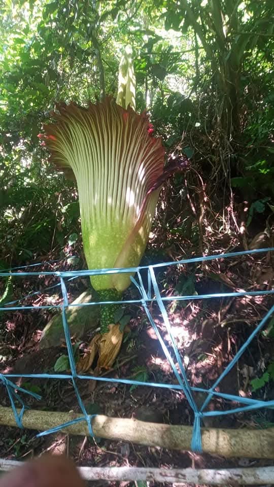 Pokdarwis Arga Tirta Kampung Wisata Kemumu - Foto 5 dari 5