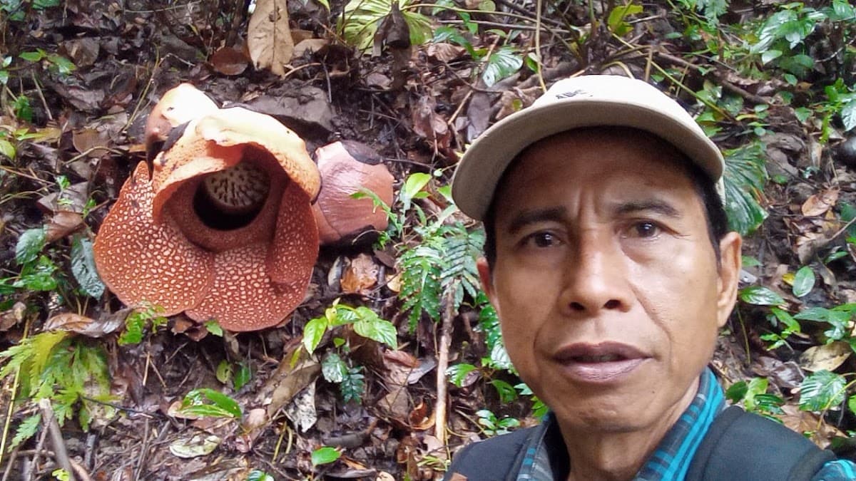 Taman Konservasi Puspa Langka LP2L2 - Foto 3 dari 3